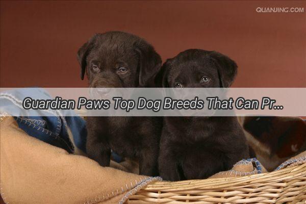 Guardian Paws Top Dog Breeds That Can Protect Your Children Like a Lifelong Guardian